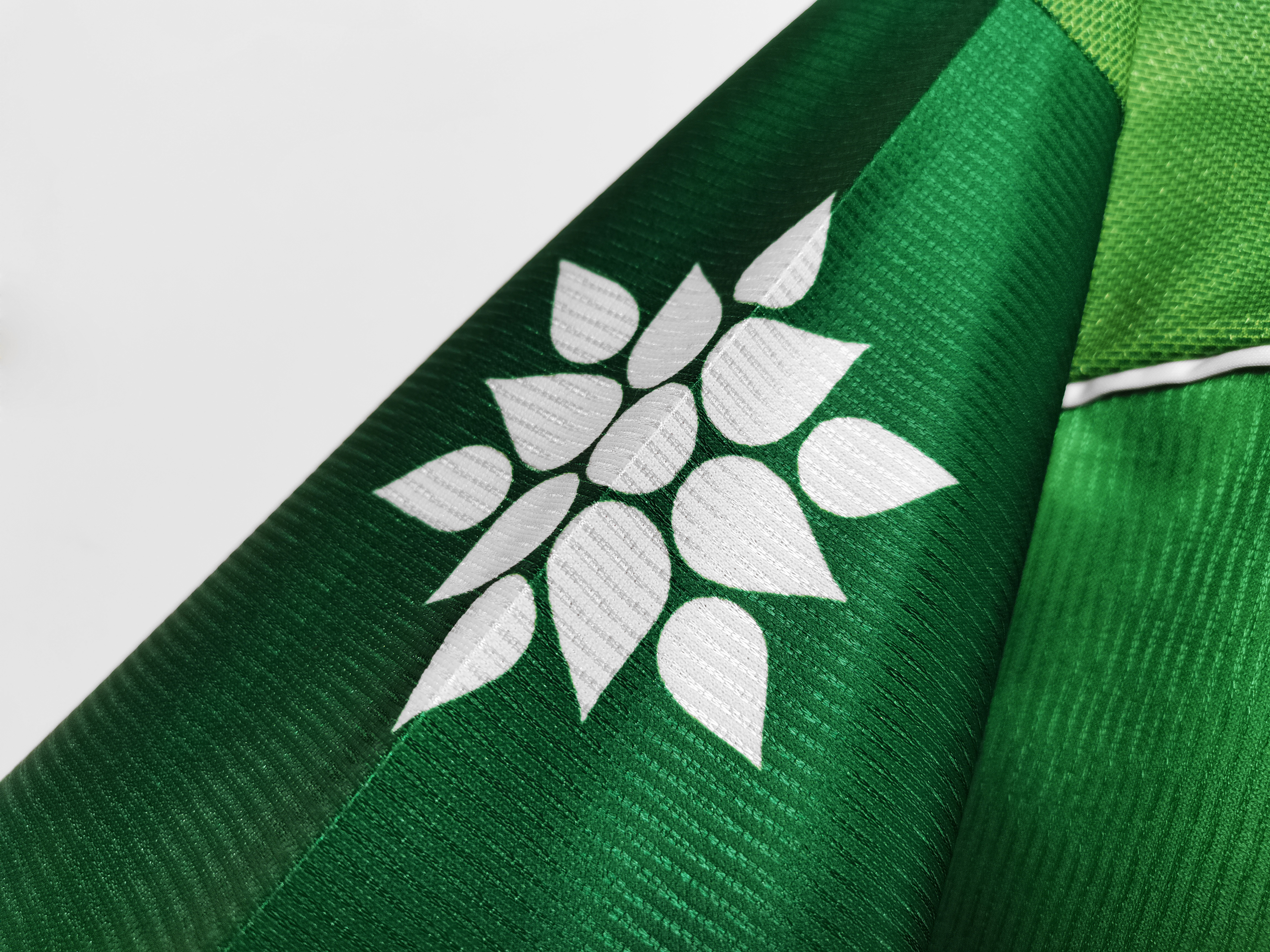 1999 Palmeiras Liberator Cup Champion Retro Jersey/1999 帕尔梅拉斯解放者杯冠军版