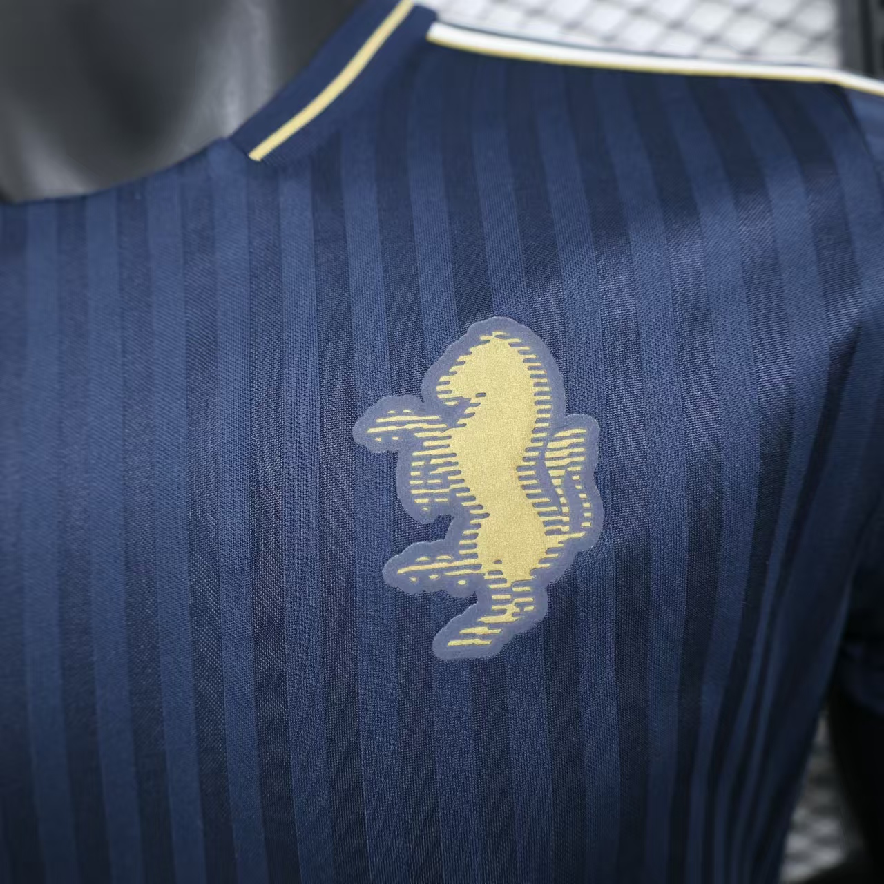 24-25 Juventus Speical Jersey/24-25 尤文图斯特别版