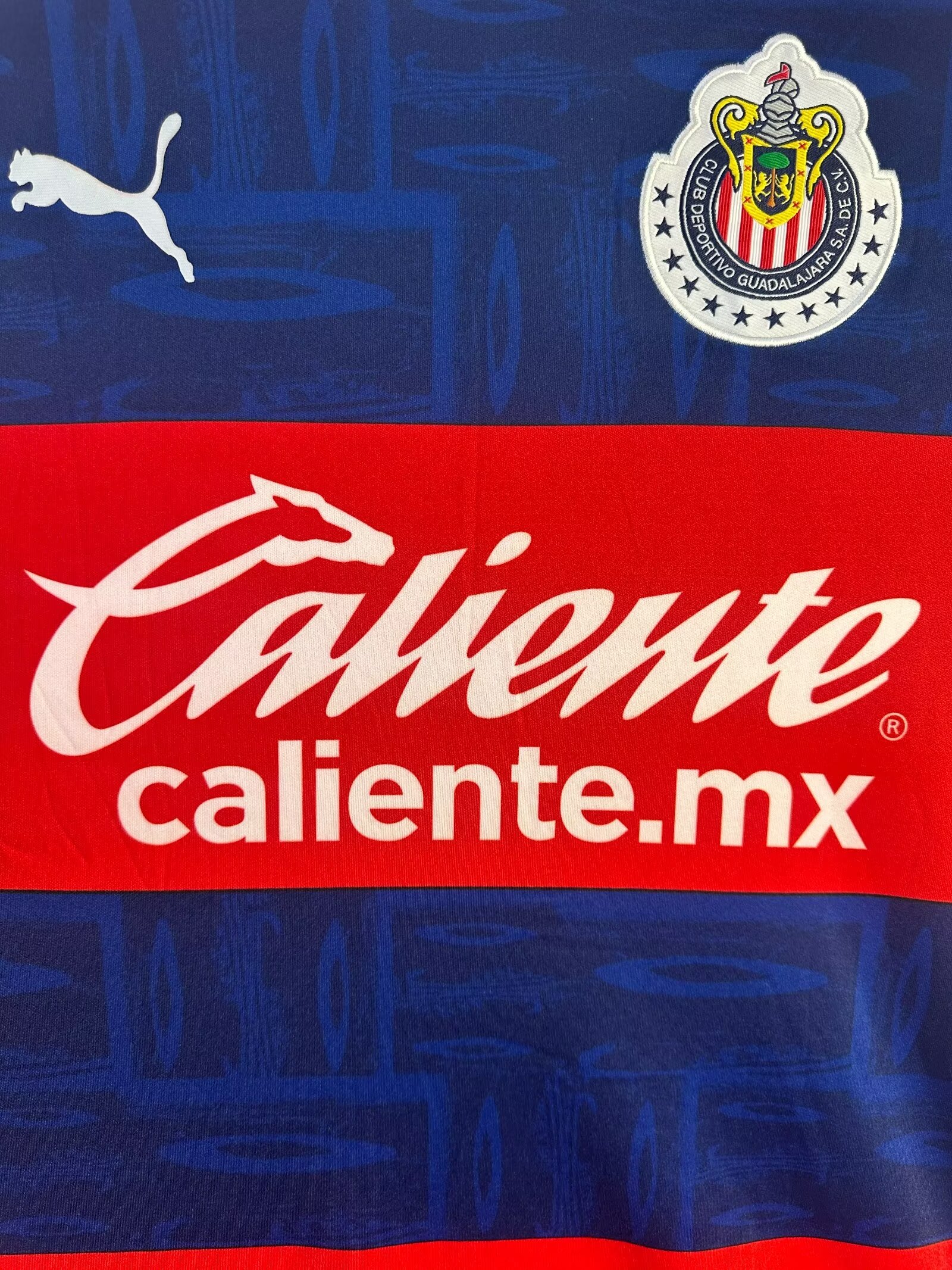 19-20 Chivas Away long sleeve Retro Jersey/19-20芝华士客场长袖