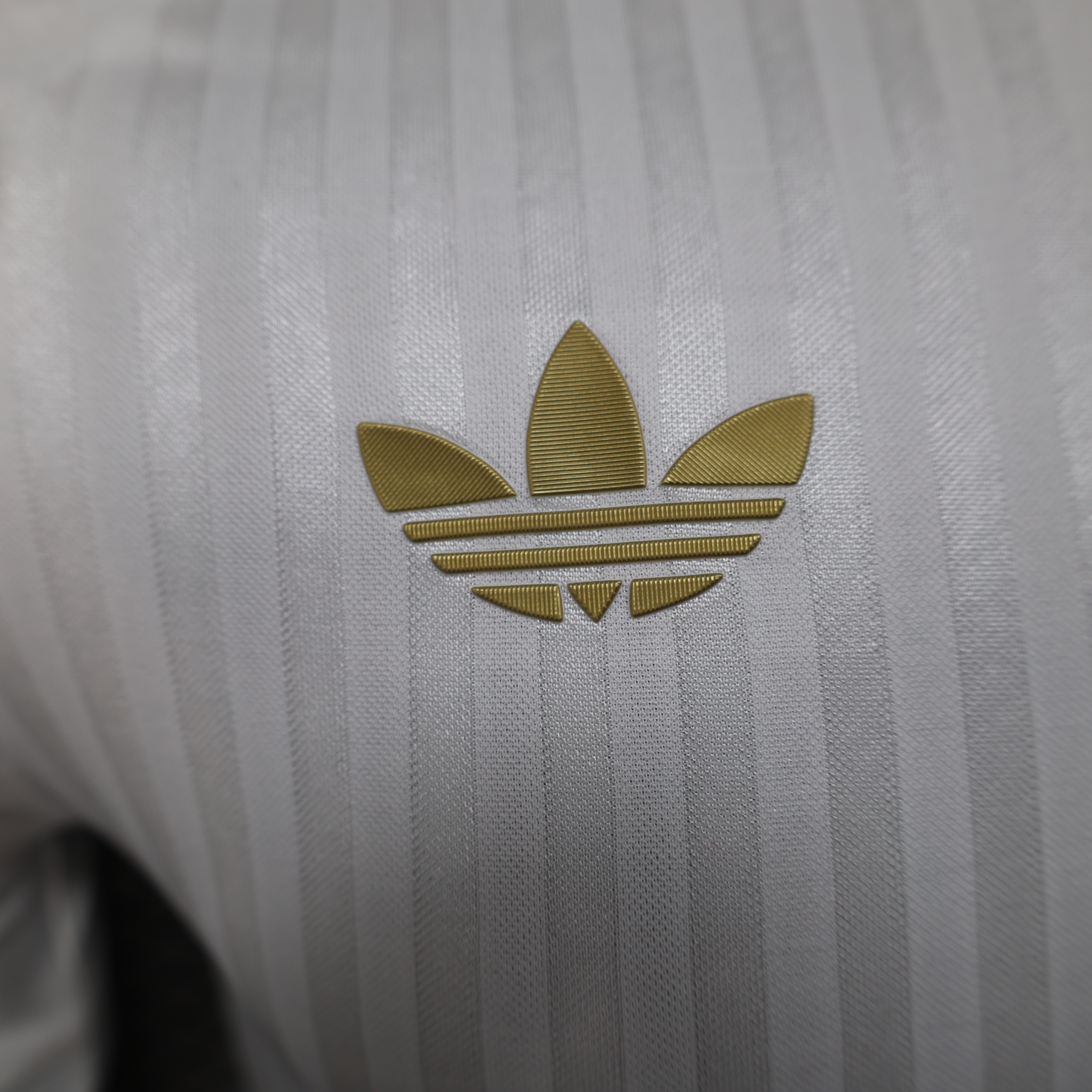 24-25 Lyon Special Jersey/24-25  里昂特别版