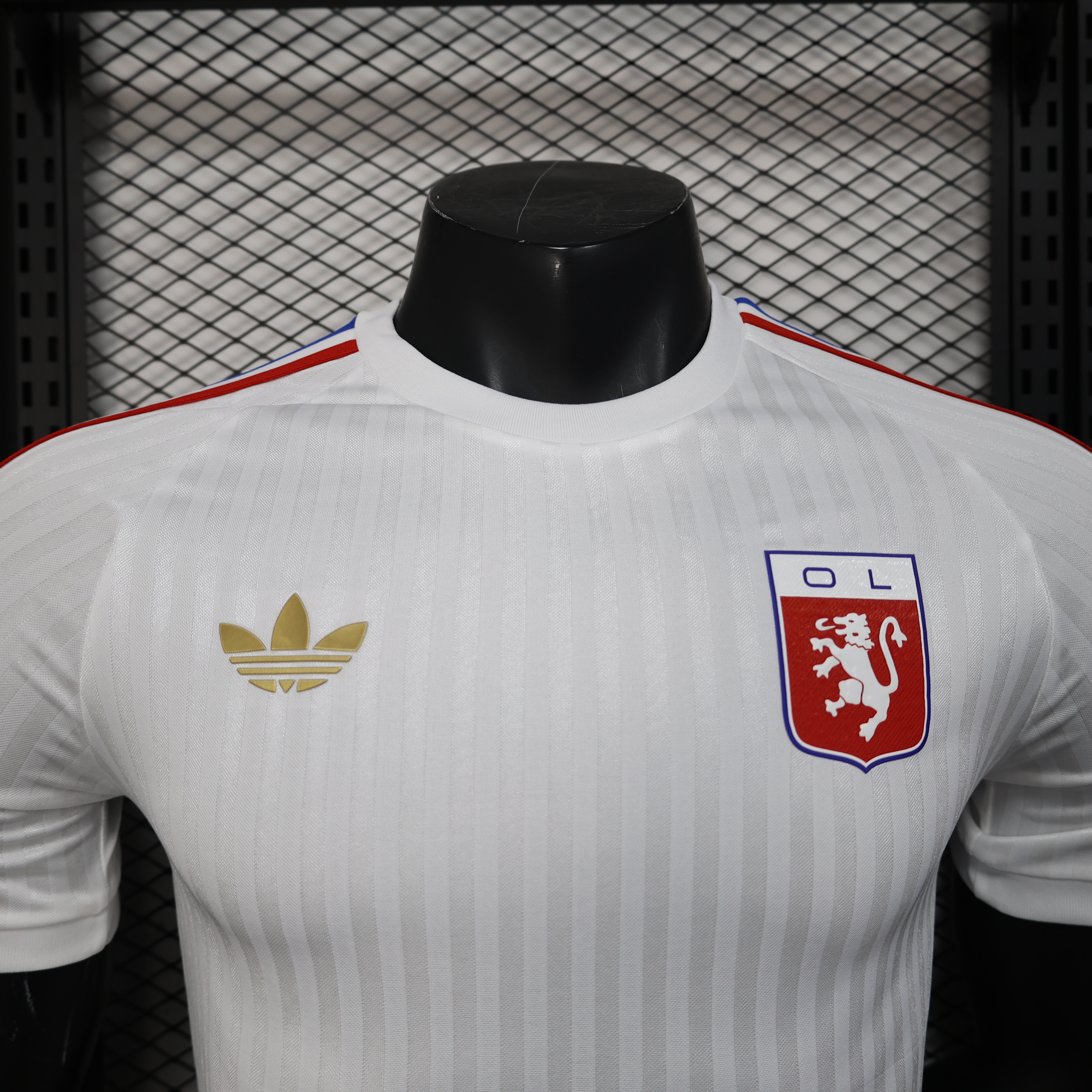 24-25 Lyon Special Jersey/24-25  里昂特别版