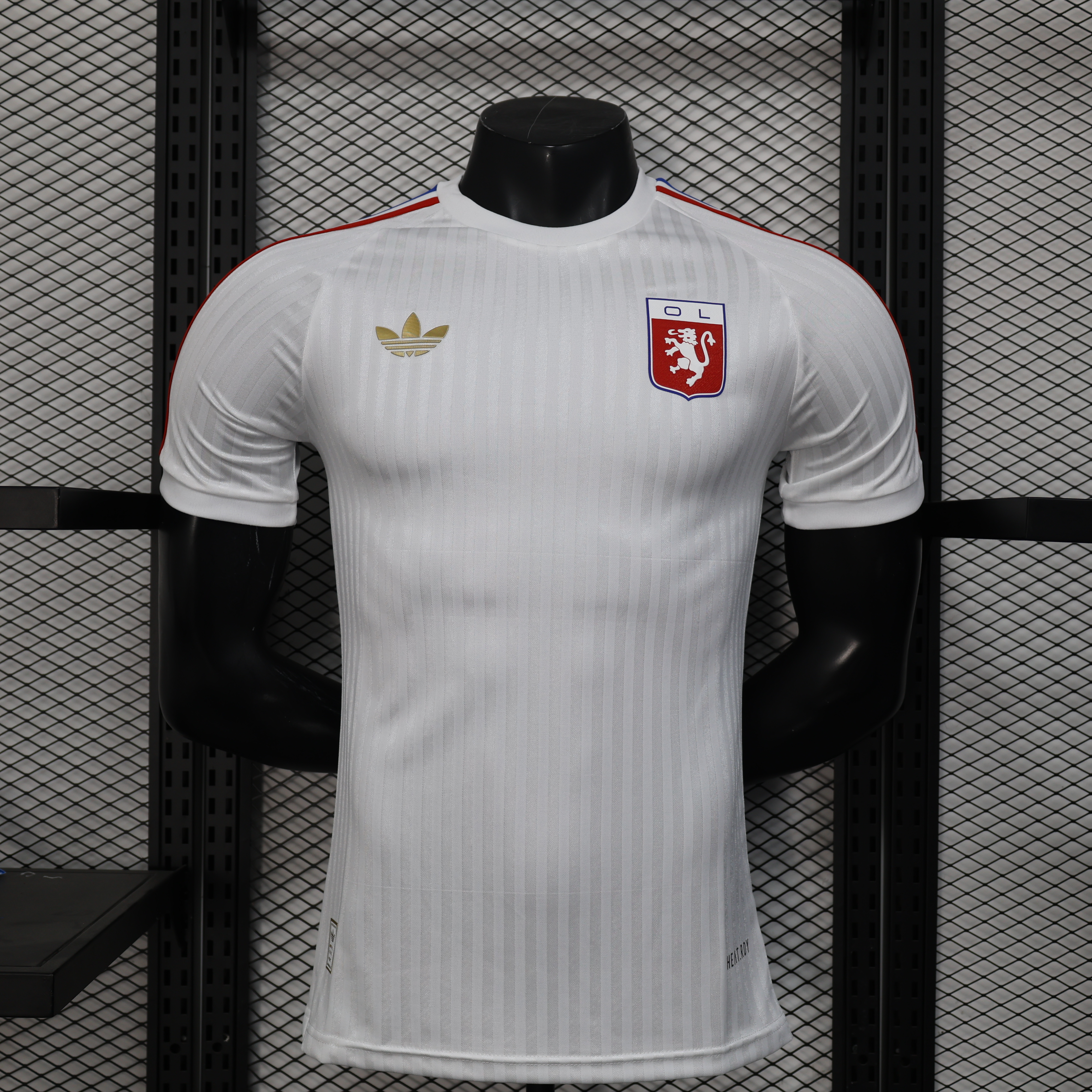 24-25 Lyon Special Jersey/24-25  里昂特别版
