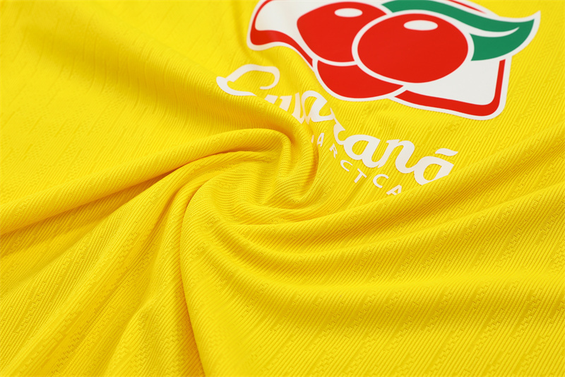 2025 Brazil Yellow Player Version Training Suit/2025巴西训练服,球员版